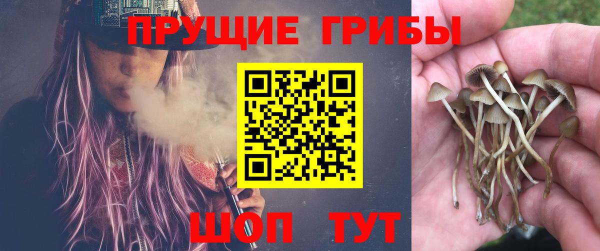 Красноармейск  Галлюциногенные грибы мицелий  Вход с VPN  Галлюциногенные грибы мухоморы 